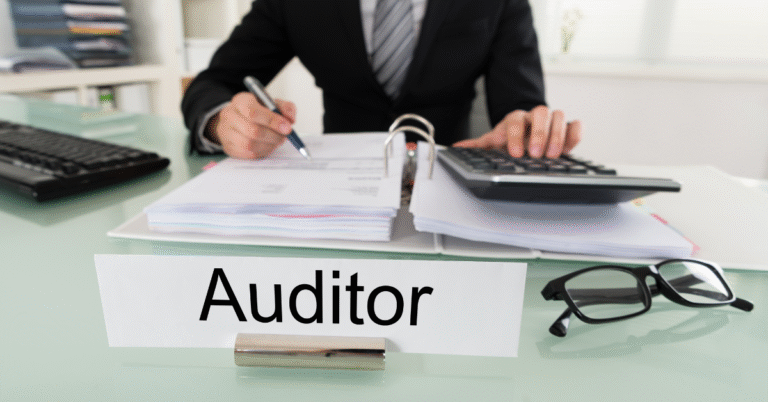 auditors in chennai